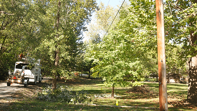 smart-energy-trimming