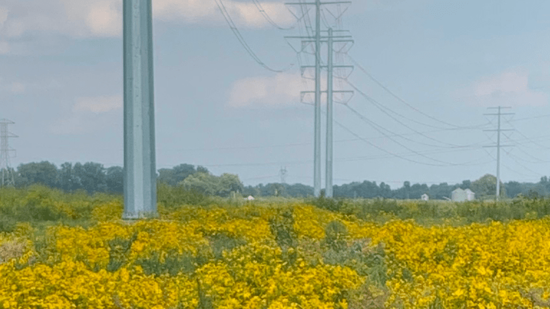 Transmission Card Pic